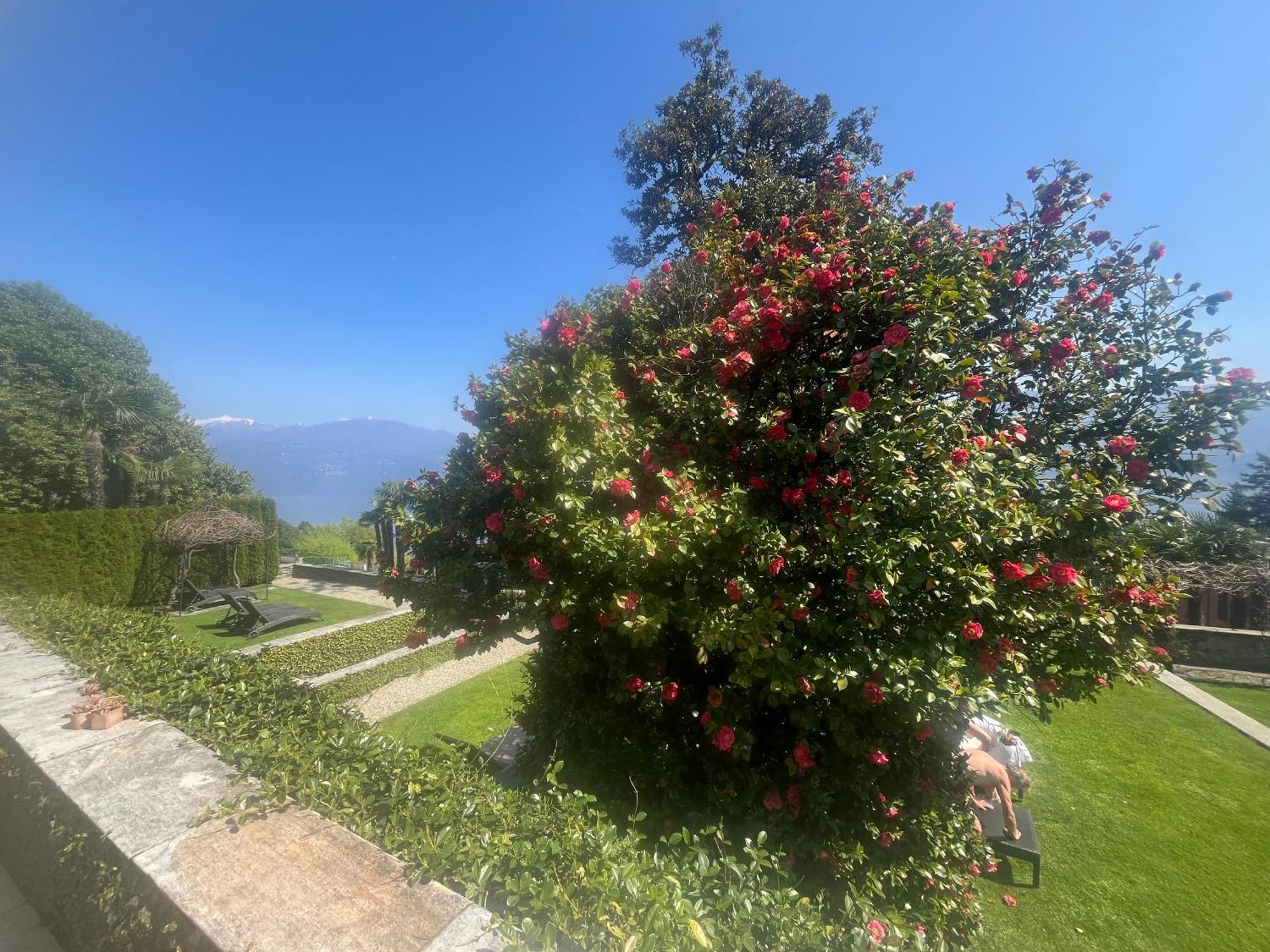 Relais Villa Margherita オッジェッビオ エクステリア 写真